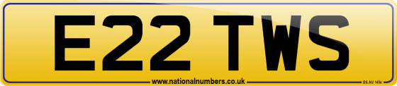 E22 TWS