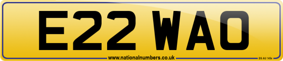 E22 WAO