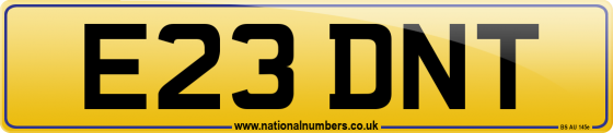 E23 DNT