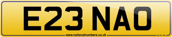 E23 NAO