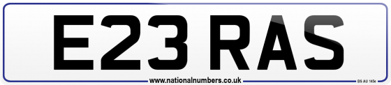 E23 RAS