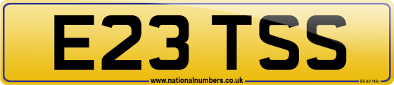 E23 TSS