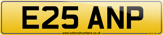 E25 ANP