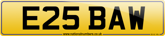 E25 BAW
