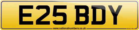 E25 BDY