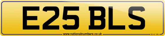 E25 BLS