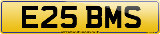 E25 BMS