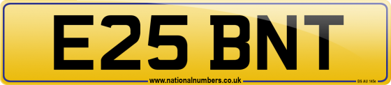 E25 BNT