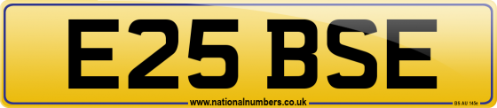 E25 BSE