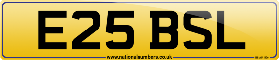 E25 BSL