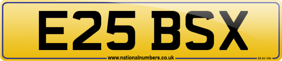 E25 BSX