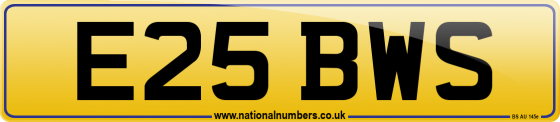 E25 BWS