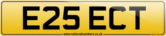 E25 ECT