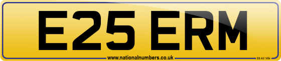E25 ERM