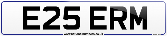 E25 ERM