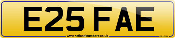 E25 FAE