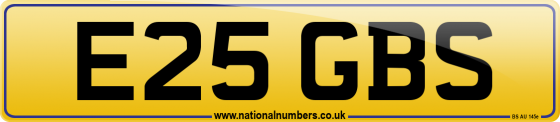 E25 GBS