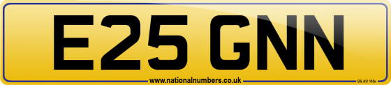 E25 GNN