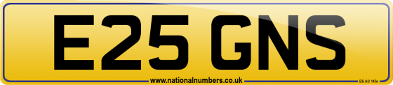 E25 GNS