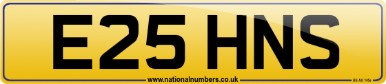 E25 HNS