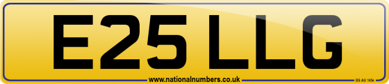 E25 LLG
