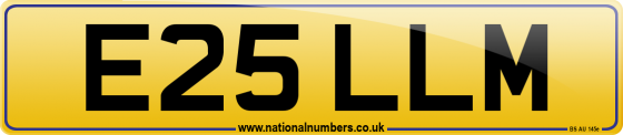 E25 LLM