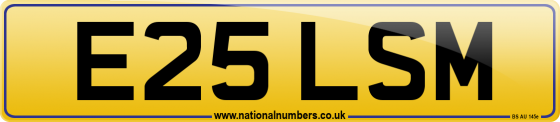 E25 LSM