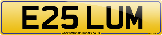 E25 LUM