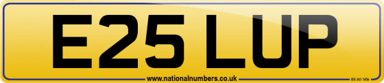 E25 LUP