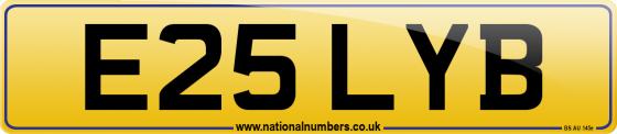 E25 LYB