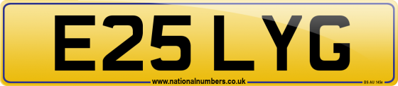 E25 LYG