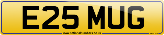 E25 MUG