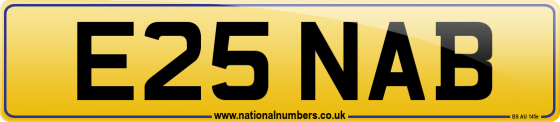 E25 NAB
