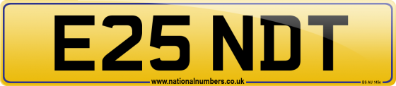 E25 NDT