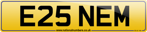 E25 NEM