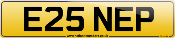 E25 NEP