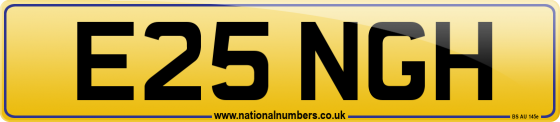 E25 NGH