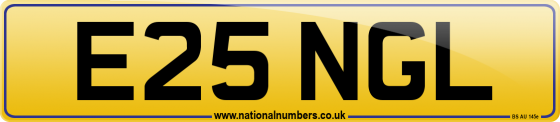 E25 NGL