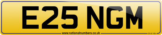 E25 NGM