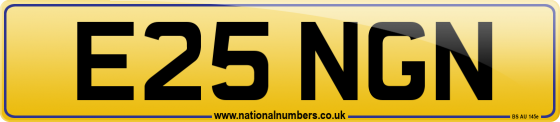 E25 NGN