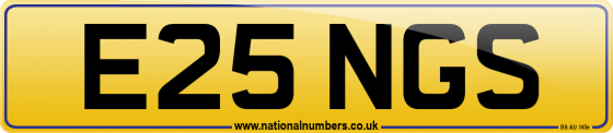 E25 NGS