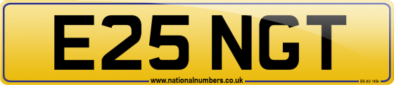 E25 NGT