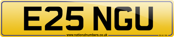 E25 NGU