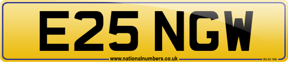 E25 NGW