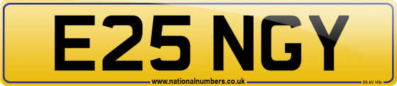 E25 NGY