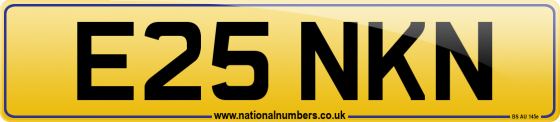 E25 NKN