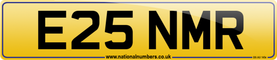 E25 NMR
