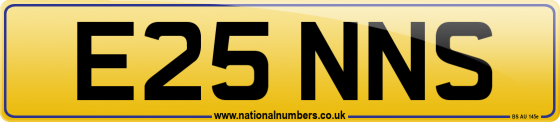 E25 NNS