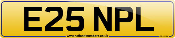 E25 NPL