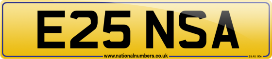 E25 NSA